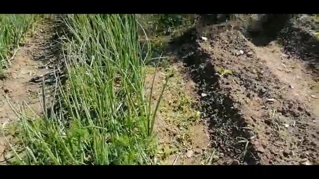 Убираем огород и косим траву смотреть онлайн