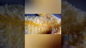 Пальто для девочки спицами из травки//Экспресс МК