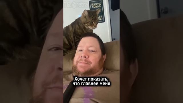 #meme #memes смотреть онлайн