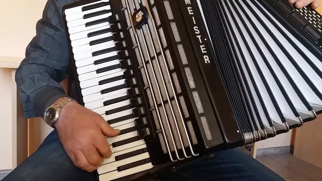 Weltmeister S5 120 Bass Double Cassotto Accordion Fisarmonica LMMMH Akkordeon (2) смотреть онлайн