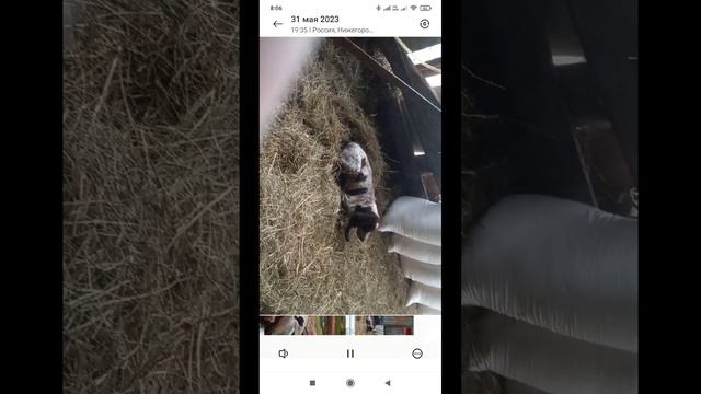 Сюжеты лета 2023 и просто фото смотреть онлайн