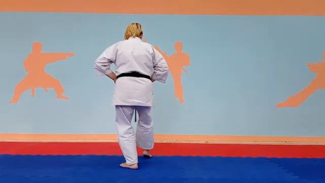 изучение стоек кокуцу и санчин дачи смотреть онлайн