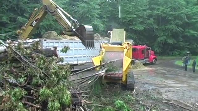 CBI Magnum Force 6800BT (TBG 680) - Whole Tree Grinder смотреть онлайн