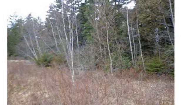 M/L 10-6 West Bay Road, Gouldsboro, ME 04607 смотреть онлайн