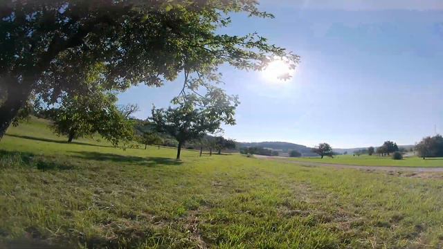 Darwin FPV - Baby Ape 2 4S - First Flight - Walksnail - Runcam Thumb Pro V2 смотреть онлайн
