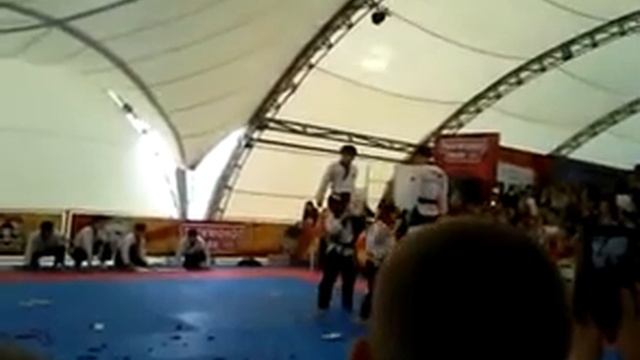 Чм в Челябинске по тхеквондо 14.05.2015. смотреть онлайн