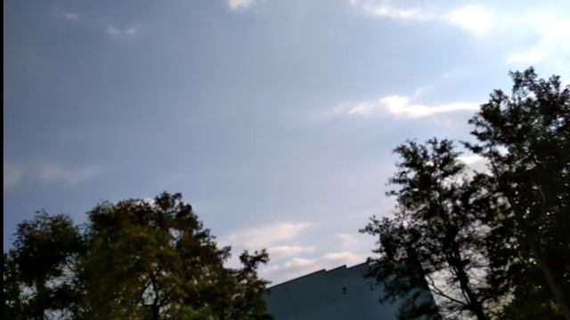 Жесткое общение с полицейским быдло смотреть онлайн