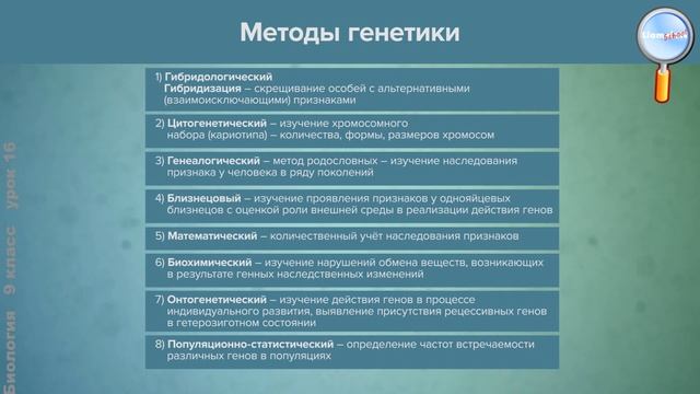 Биология 9 класс (Урок№16 - Генетика как отрасль биологической науки. Фенотип и генотип.) смотреть онлайн