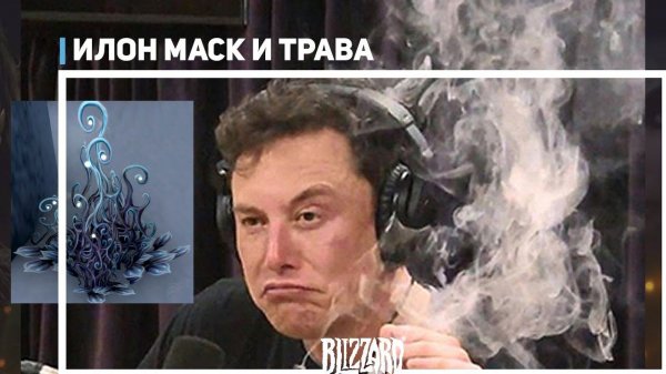 ИЛОН МАСК И ТРАВА | LuaNaZakaz