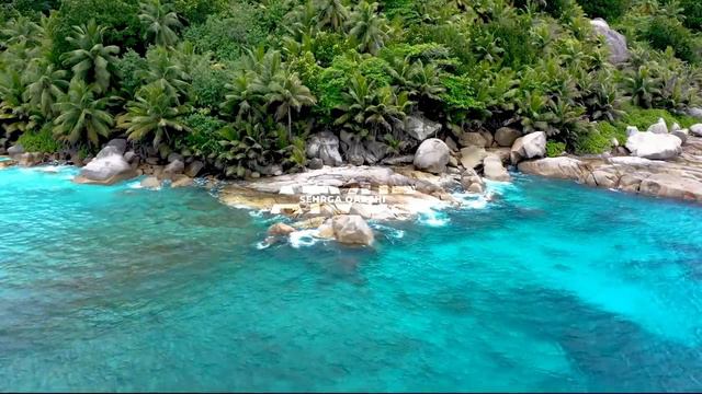 Бойлик Келтирадими Бури Тирноги,Тиши Бойлик Келтирадими ? Bo'ri Tirnog'i, Tishi Boylik Keltiradimi?