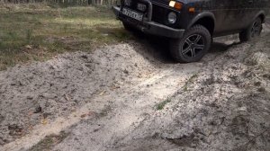 Нива. Зачем она нужна