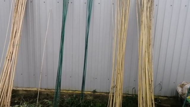 Готовимся к укрытию роз на северо-западе. Что я использую для укрытия роз. смотреть онлайн