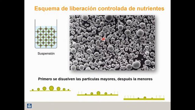 Beneficios de una nutrición continua, su impacto en la sanidad y producción de los cultivos. смотреть онлайн