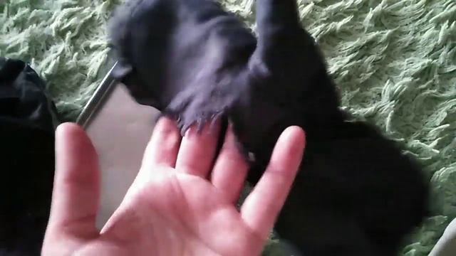 ❤️БОЛЬШИЕ СКИДКИ ПОСЛЕ ПРАЗДНИКОВ/РЕМОНТ В СПАЛЬНЕ смотреть онлайн