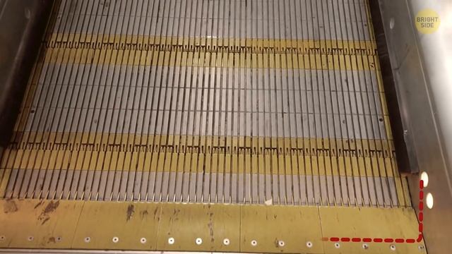 That's Why Escalator Stairs Have Grooves смотреть онлайн