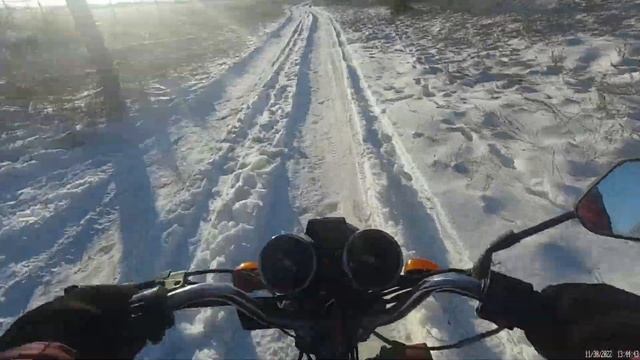 УПАЛ С МОПЕДА | СНОВА В ЛЕСУ | ПОКАТУШКИ НА АЛЬФЕ смотреть онлайн