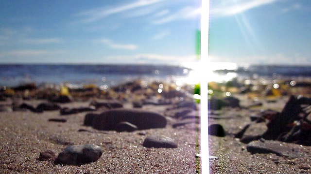 Терский  берег  Белого  моря