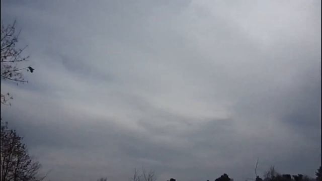 Нападает летучая мышь. смотреть онлайн