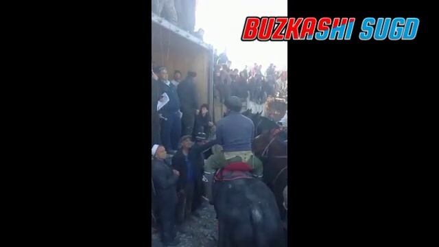 Бузкаши улок д.Хучахо Н.Деваштич  26.11.2022 Buzkashi Istaravshan