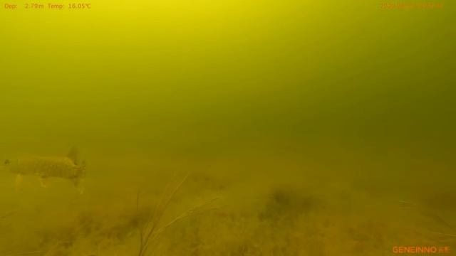 Подводная фото рыбалка смотреть онлайн