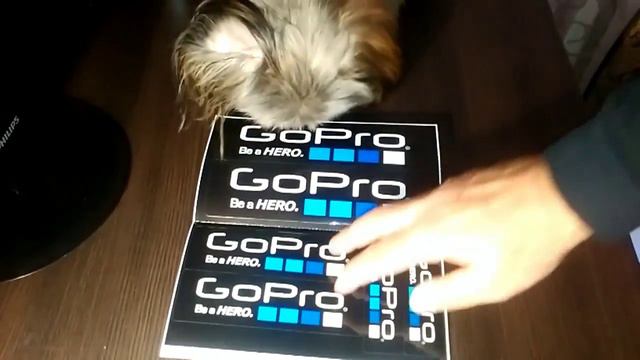 Где заказать Наклейки Go Pro Бесплатно! Ссылка под видео. смотреть онлайн