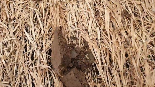 Первый выезд с Simplex Plus сезон 2022,  деньга Павел 1