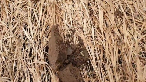 Первый выезд с Simplex Plus сезон 2022, деньга Павел 1