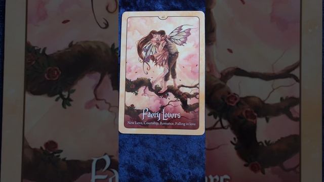 Faery Lovers ? Wild Wisdom of the Faery Oracle card meaning смотреть онлайн