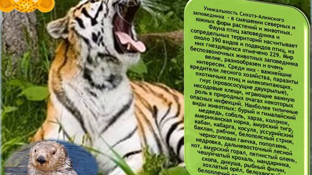 ЗАПОВЕДНИКИ смотреть онлайн