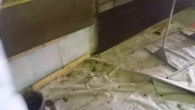 Диагональные косынки из фасадной стеклотканевой сетки по углам оконных и дверных проёмов смотреть онлайн
