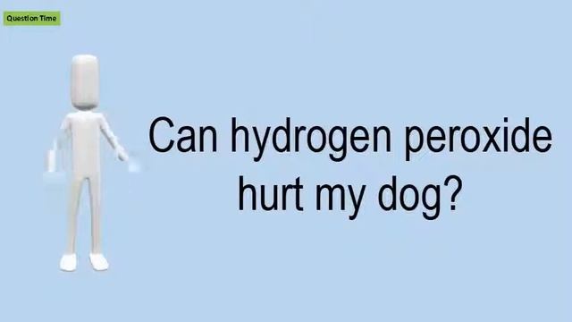 Can Hydrogen Peroxide Hurt My Dog? смотреть онлайн