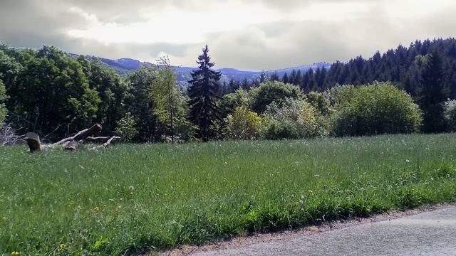 In nomine "Crye" by Christopher Tye - viol consort & organ смотреть онлайн