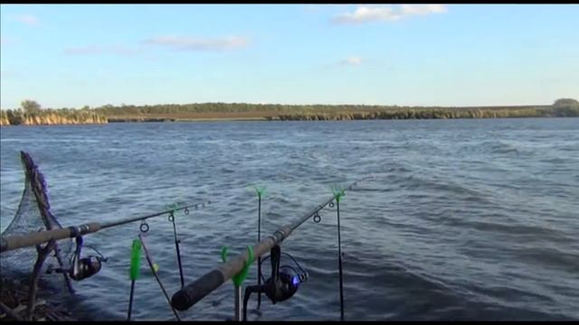 Фидер на заросшем дне и забытая прикормка смотреть онлайн