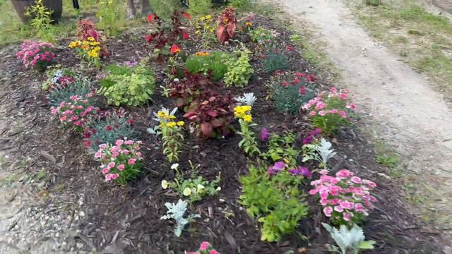 Planting Up Three Arbors! Clematis, Cup & Saucer, Morning Glory | Simply Bloom смотреть онлайн