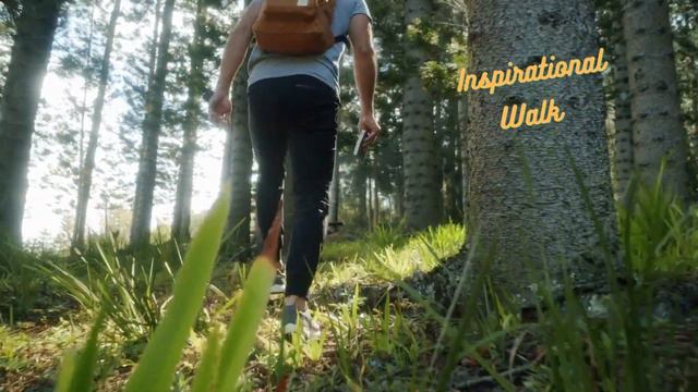 Ambience Background Music Inspirational Nature for Deep Focus, Study, Work, Relax, Sleep, Chill Mix смотреть онлайн