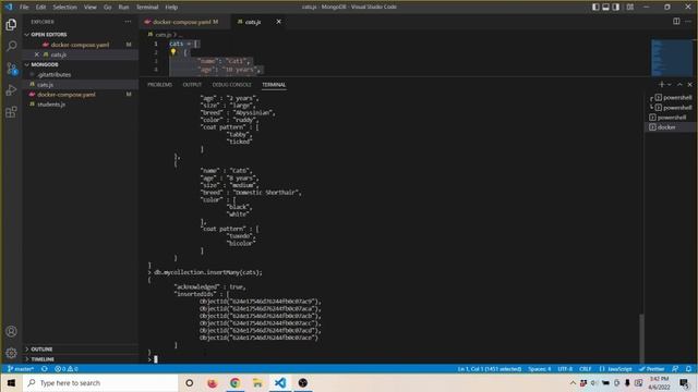 Find Method - MongoDB Tutorial смотреть онлайн