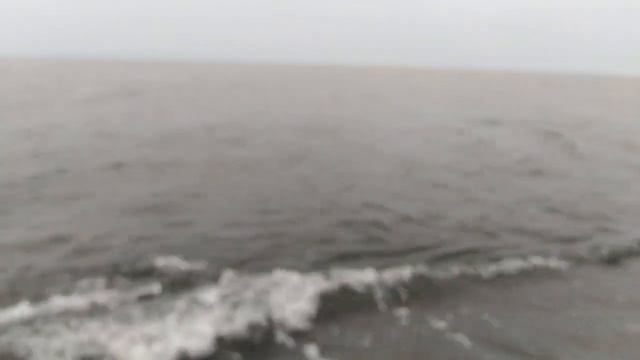 Горбуша не даёт расслабиться. смотреть онлайн