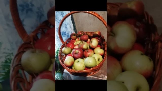 Красота и здоровье! Заготовки! ??????❤️❤️