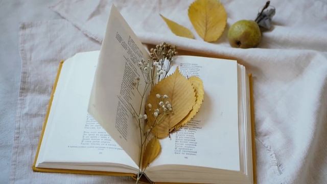 Зворушлива та Прониклива Музика для Душі смотреть онлайн