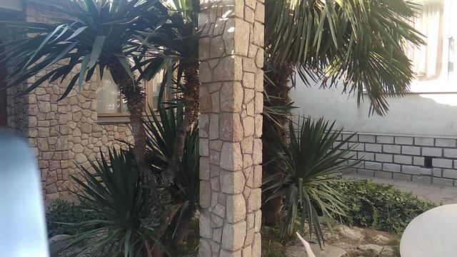 Нож "Шкуродер" - Х12МФ, бакаут смотреть онлайн