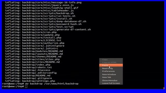 How To install Backdrop CMS On ubuntu 18.04 LTS смотреть онлайн