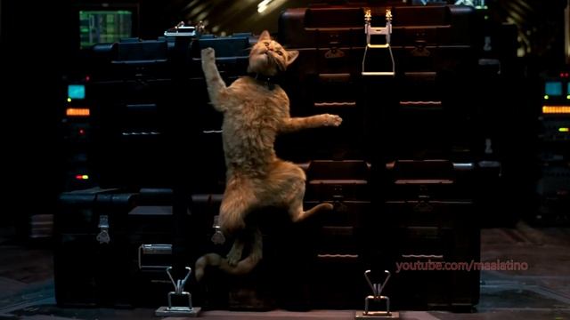 ⚡ Bien Resumido Capitana Marvel resumen de la película de Captain Marvel de 2019 resumen completo ⚡ смотреть онлайн