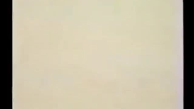 No Social Security - Black Velvet Petunia Music Video