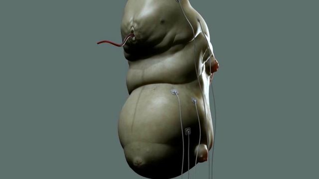 Все о СОВЕТНИКАХ АЛЬЯНСА \ КОМБАЙНОВ | Half Life смотреть онлайн