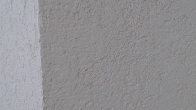 Трансляция демонстрационного экзамена. Ресторанный сервис 18.04.19 смотреть онлайн