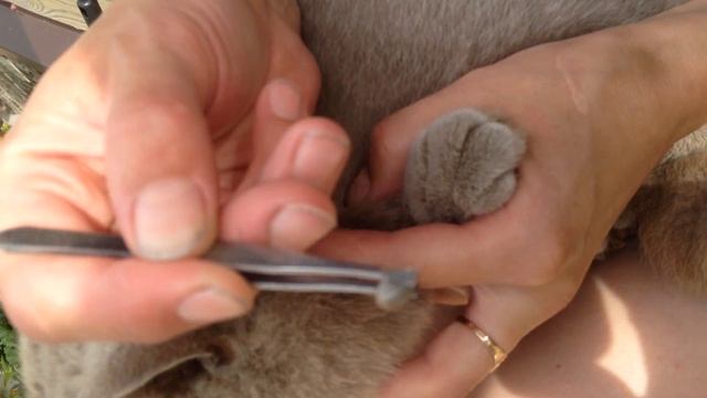 Как Сделать Своими Руками