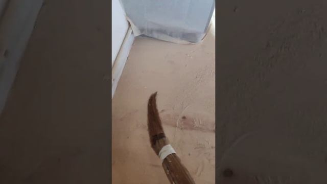 пол из сосновой доски(золотой пол) смотреть онлайн