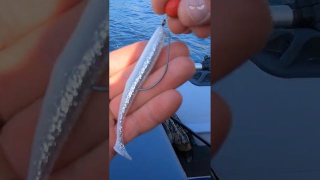 Рыбалка Озеро Тёплое в ночь #shorts смотреть онлайн