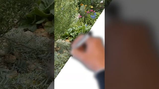 Я заказчик ландшафтного дизайна смотреть онлайн
