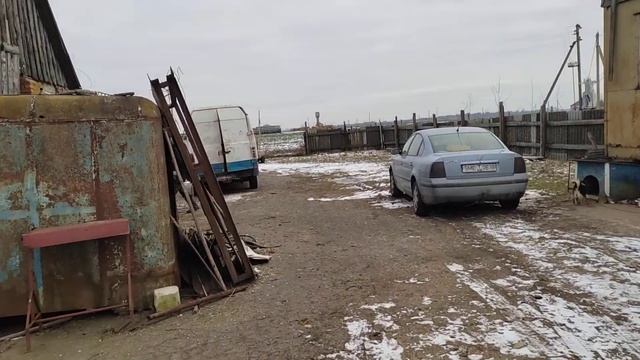 Загоняем жеребых кобыл в сарай смотреть онлайн